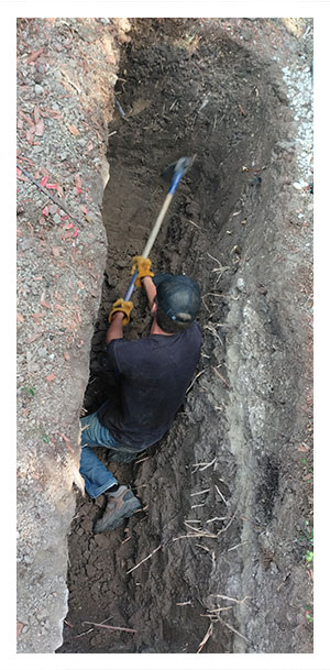 image of the iPhone app